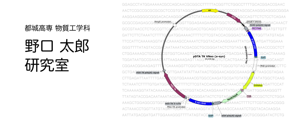 dna.png